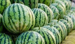 各种网红吃瓜爆料站,揭秘娱乐圈幕后真相